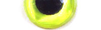 JMC® 3D Eyes - 12 mm - Chartreuse